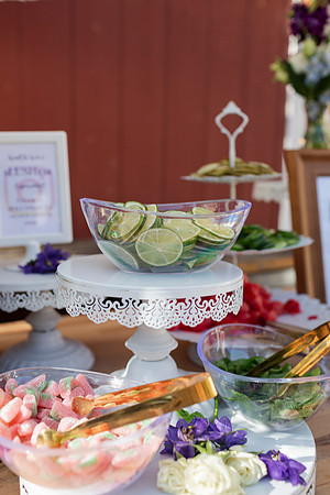 Gabe_Ali_Wedding_Reptacular_6.22.24-72