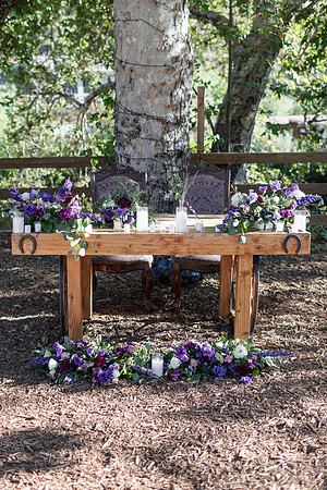 Gabe_Ali_Wedding_Reptacular_6.22.24-76