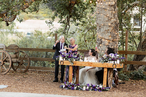 Gabe_Ali_Wedding_Reptacular_6.22.24-612