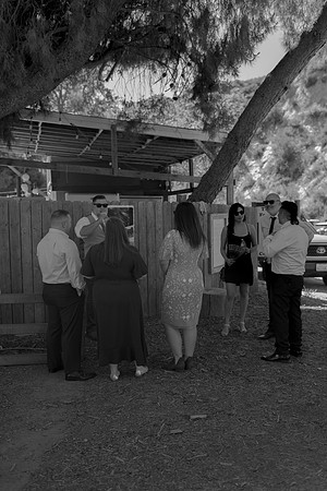 Gabe_Ali_Wedding_Reptacular_6.22.24-210