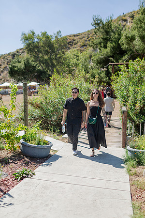 Gabe_Ali_Wedding_Reptacular_6.22.24-234