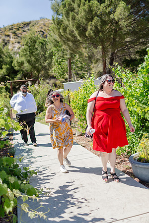 Gabe_Ali_Wedding_Reptacular_6.22.24-232