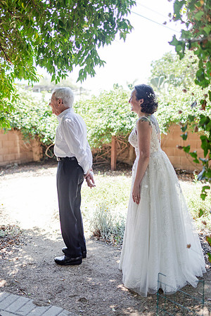 Gabe_Ali_Wedding_Reptacular_6.22.24-149