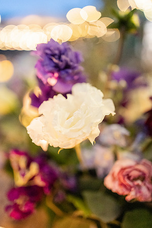 Gabe_Ali_Wedding_Reptacular_6.22.24-683
