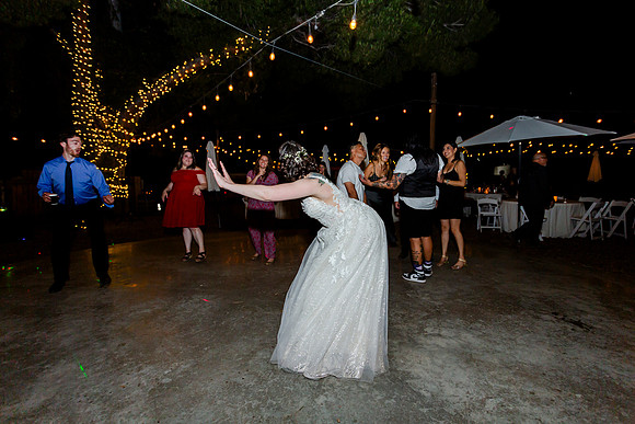 Gabe_Ali_Wedding_Reptacular_6.22.24-749
