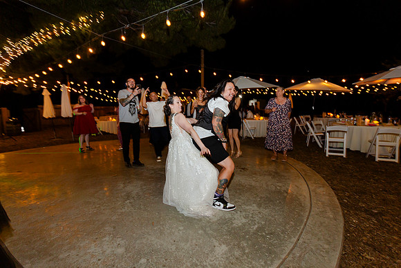 Gabe_Ali_Wedding_Reptacular_6.22.24-748