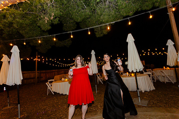 Gabe_Ali_Wedding_Reptacular_6.22.24-789