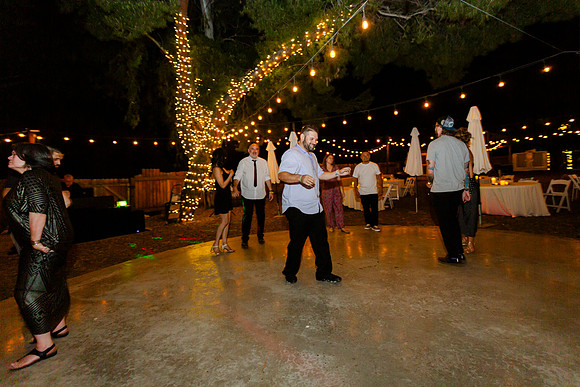 Gabe_Ali_Wedding_Reptacular_6.22.24-785