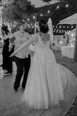 Gabe_Ali_Wedding_Reptacular_6.22.24-682