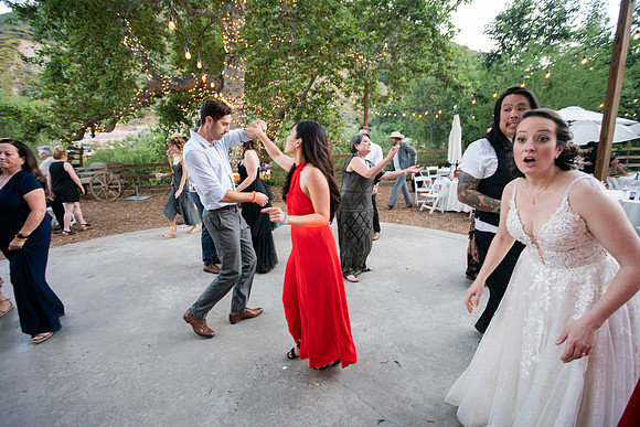 Gabe_Ali_Wedding_Reptacular_6.22.24-674