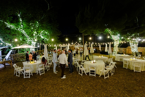 Gabe_Ali_Wedding_Reptacular_6.22.24-787