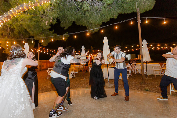 Gabe_Ali_Wedding_Reptacular_6.22.24-817