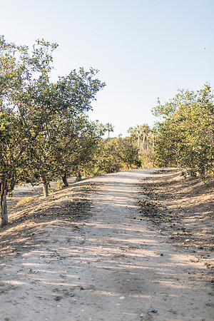 DUONG_CHEN_CITRUSRANCH_2025-2