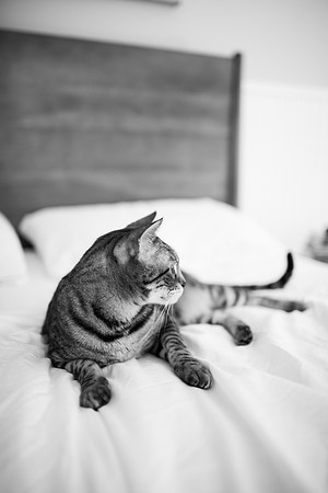 Jude_Stephens_Newborn_2015-157