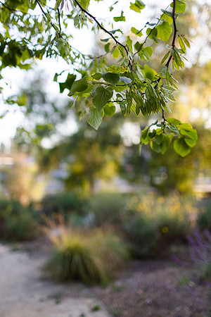 Chon_Fullerton_6.2026-3