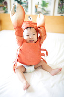 Sebastian_12Month_4.2024-11