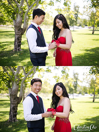 ERIKA_DANIEL_PROM_2015-1
