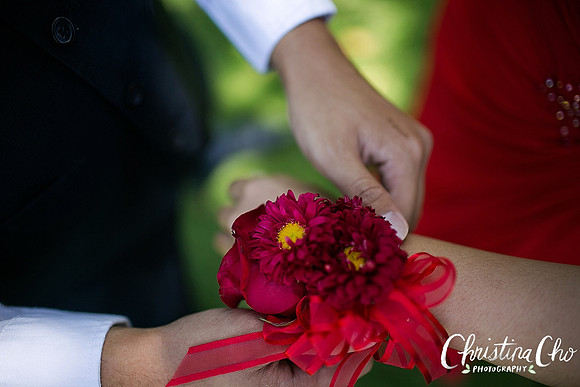 ERIKA_DANIEL_PROM_2015-3