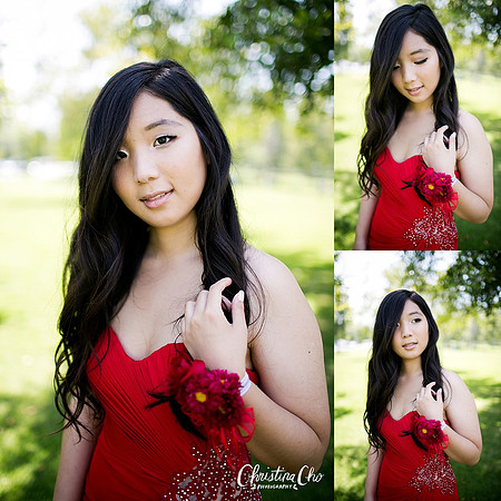 ERIKA_DANIEL_PROM_2015-8