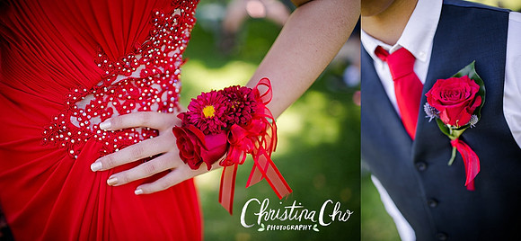 ERIKA_DANIEL_PROM_2015-24