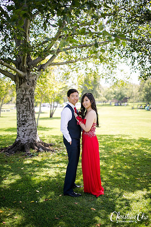 ERIKA_DANIEL_PROM_2015-14