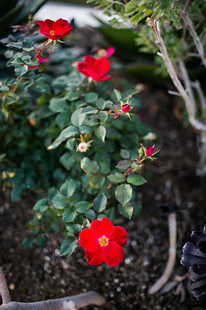 Kelly_John_2015-105