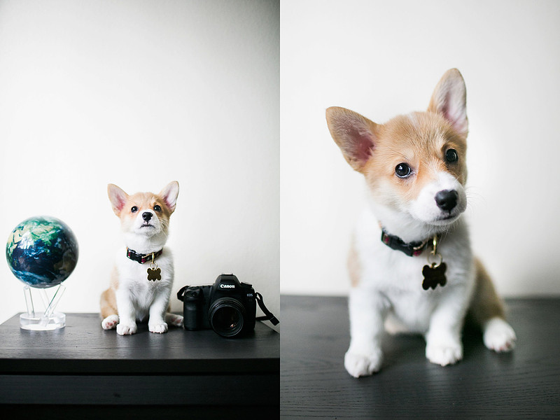 Christina Cho Photography, Christina Cho, Family Photography, Family Photographer, Family Session, Family, Families, Orange County Photographer, Orange County Photography