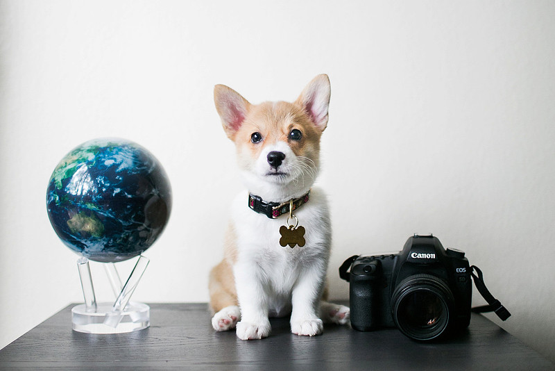 Christina Cho Photography, Christina Cho, Family Photography, Family Photographer, Family Session, Family, Families, Orange County Photographer, Orange County Photography