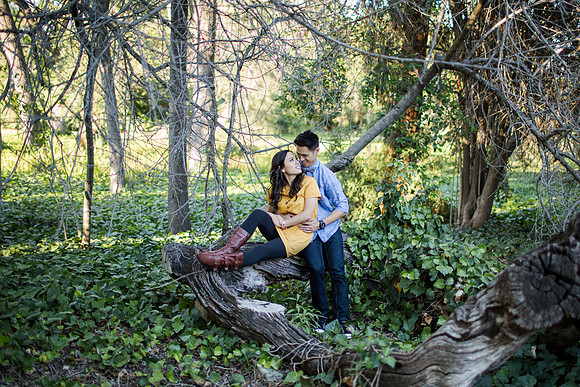 HaroldTiffany_Engaged2015-83