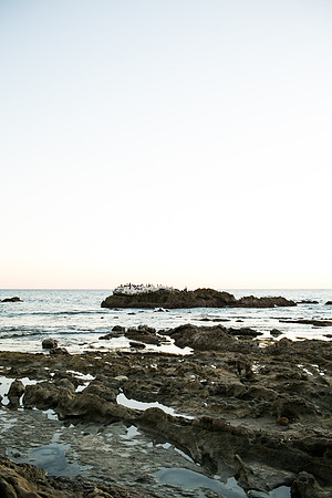 Christine_Nguyen_Family_Laguna_Beach_2015-79