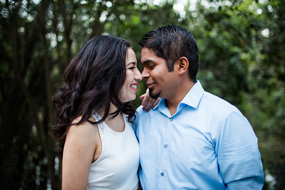 AliceDanielEngaged2015-62