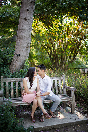HaroldTiffany_Engaged2015-29