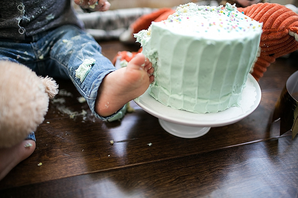Christina Cho, Christina Cho Photography, Family Photographer, Family Photography, Cake Smash, Orange County Photography, Orange County Photographer, Birthday, Family Session