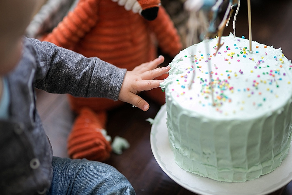 Christina Cho, Christina Cho Photography, Family Photographer, Family Photography, Cake Smash, Orange County Photography, Orange County Photographer, Birthday, Family Session