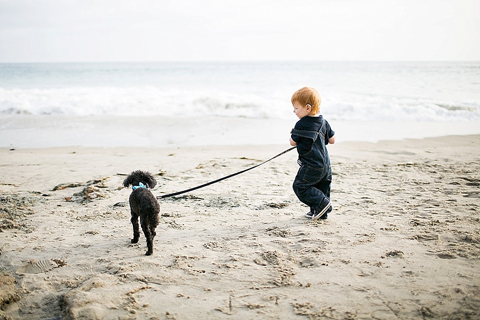 Christina Cho Photography, Christina Cho, Orange County Photography, Orange County Photographer, Family Photographer, Family Photography