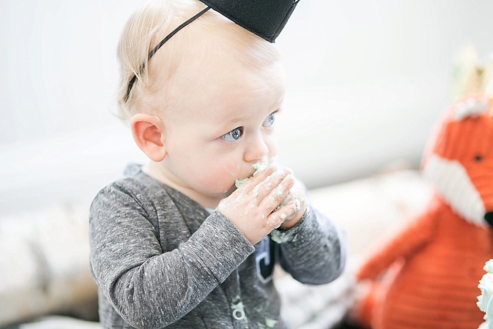 Christina Cho, Christina Cho Photography, Family Photographer, Family Photography, Cake Smash, Orange County Photography, Orange County Photographer, Birthday, Family Session