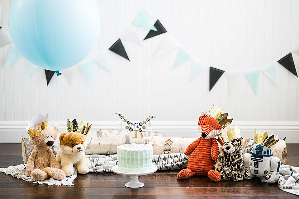 Christina Cho, Christina Cho Photography, Family Photographer, Family Photography, Cake Smash, Orange County Photography, Orange County Photographer, Birthday, Family Session