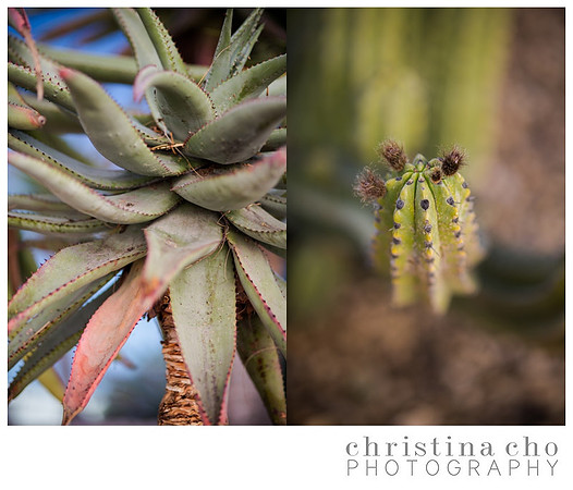 CHRISTINACHOPHOTOGRAPHY_0617