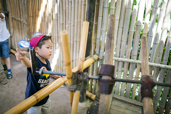 Chi_Chau_Family_Disney_2016-65