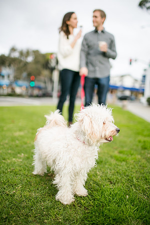 Joe_Jayne_Engagement_LagunaBeach_2017-10