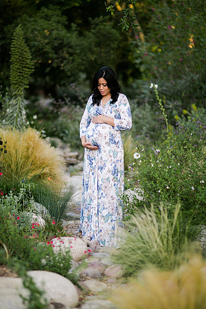 Herrera_Family_2017-61