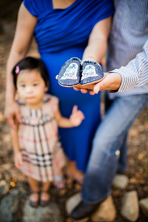 CHRISTINE_NGUYEN_FAMILY_2014-29