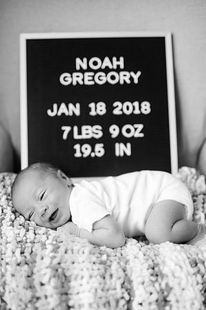 Noah_Basen_and_Family_2018_BW-40