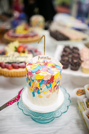 Amelia_1st_Bday_Party_2018-5