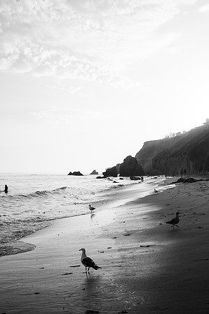 Kevin_Janet_Engaged_7.2018-70