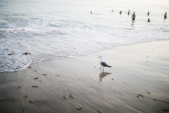 ChristinaChoPhotography_familyphotographer_orangecountyphotographer_weddingphotographer_californiaphotographer_0719