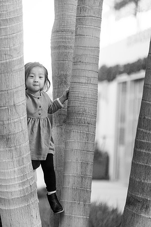 Noh_Soco_10.2018-62
