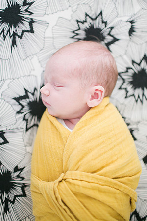 Stephens_Family_Newborn_2018-100