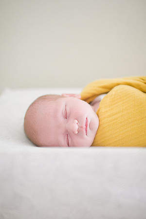 Stephens_Family_Newborn_2018-122