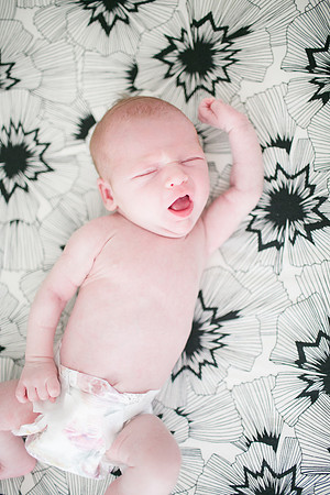 Stephens_Family_Newborn_2018-130